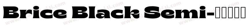 Brice Black Semi字体转换